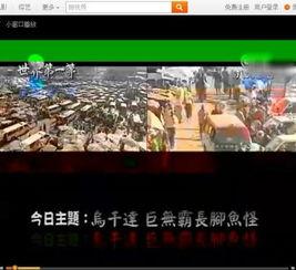 国产斗鱼怎么变色的视频